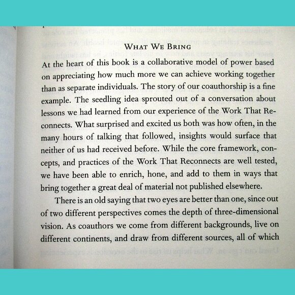 Book - Active Hope: How to Face the Mess We're in Without Going Crazy - Picture 3 of 16